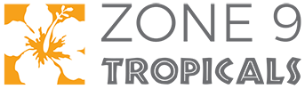 Zone 9 Tropicals Online Plant Nursery and Supplies Zone 9 Tropicals Online Plant Nursery and Supplies